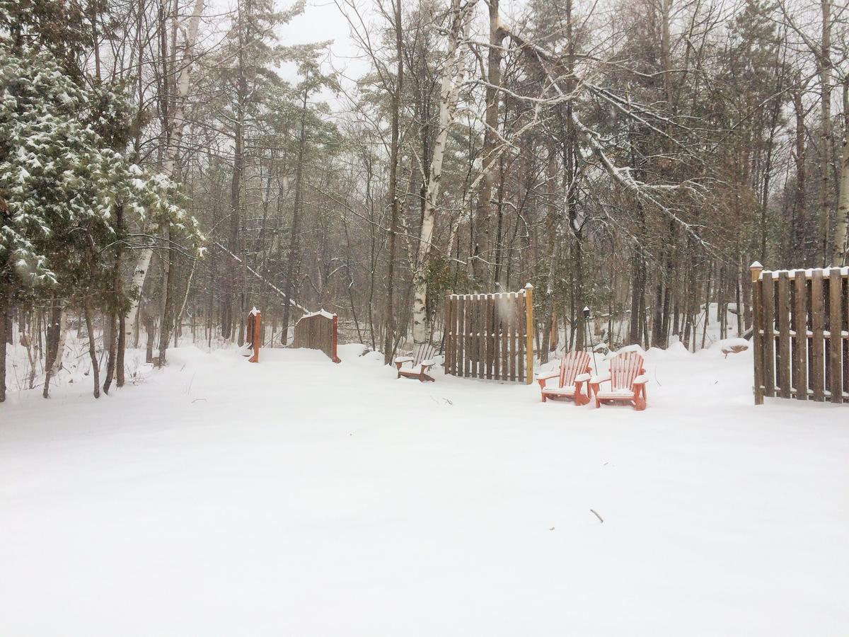 Adirondack Spruce Lodge Wilmington Exterior foto